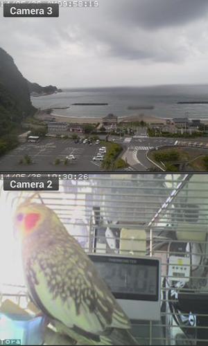 Viewer for ICam IP cameras