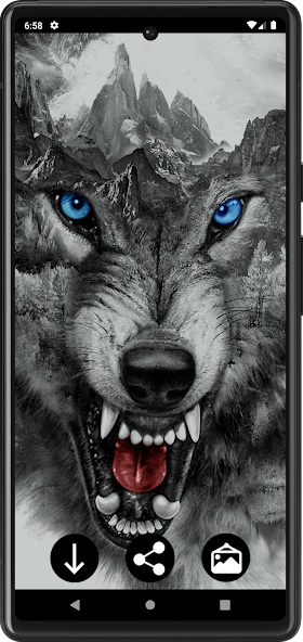 Wolf Wallpapers