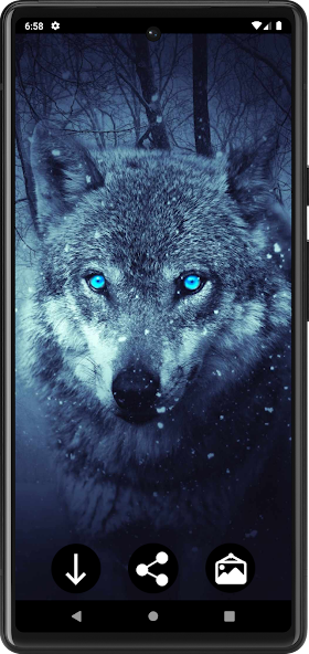 Wolf Wallpapers