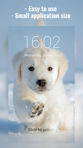 Labrador Lock Screen