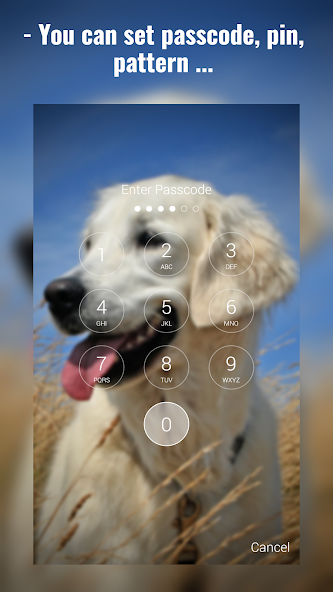 Labrador Lock Screen