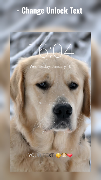 Labrador Lock Screen