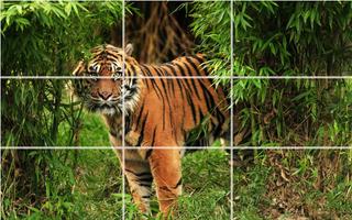 Puzzle - Wild animals