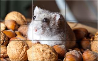 Puzzle - Cute Hamsters