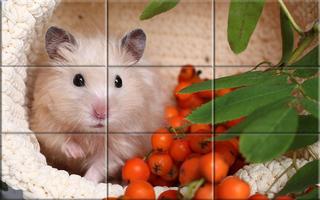 Puzzle - Cute Hamsters