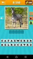 Animals Quiz