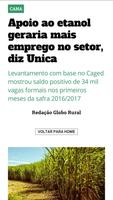 Revista Globo Rural