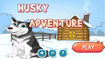 Husky Adventure