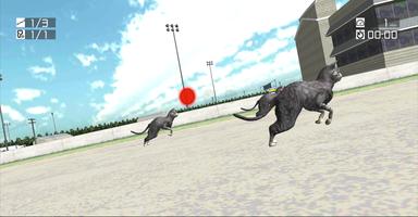 Animal Racing: Wild Cats