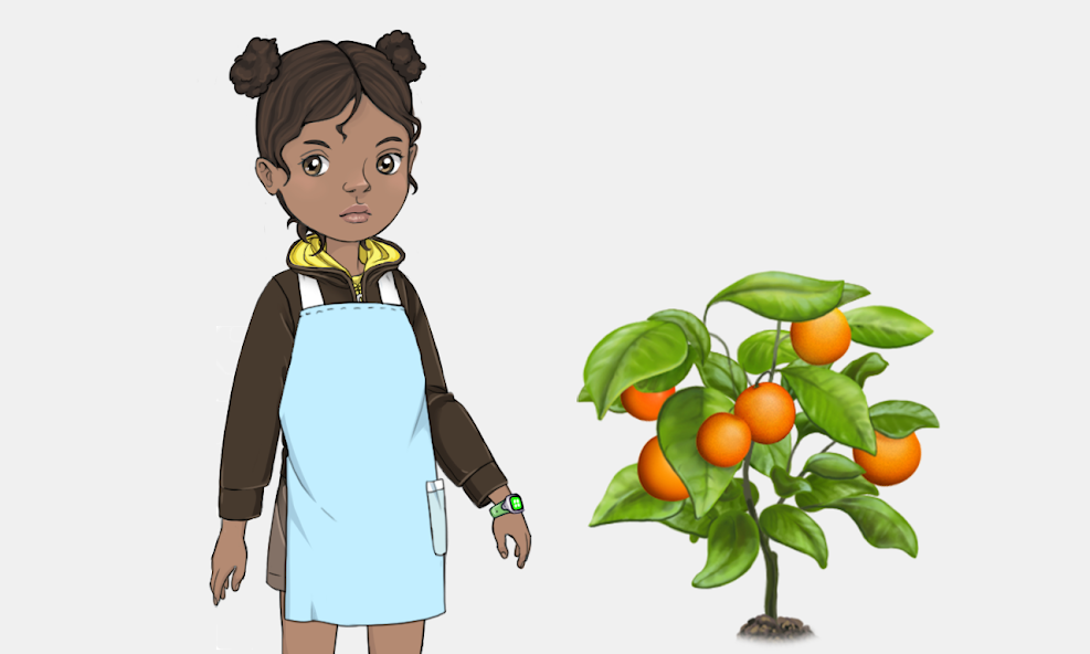 Orange Tree