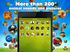 Animal Sounds & Images Free