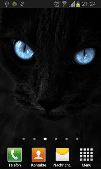 Black cats Live Wallpaper