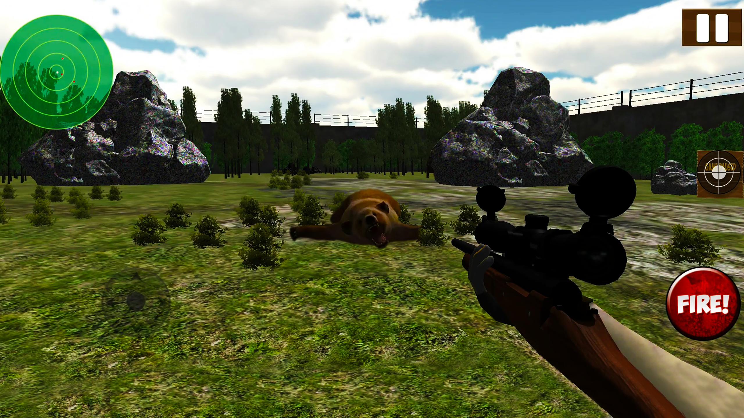 Jungle Bear Shooting Game