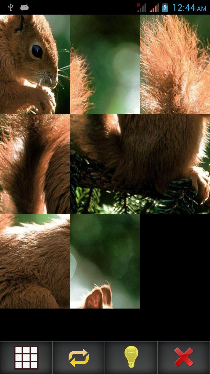 Pets Photo Puzzle