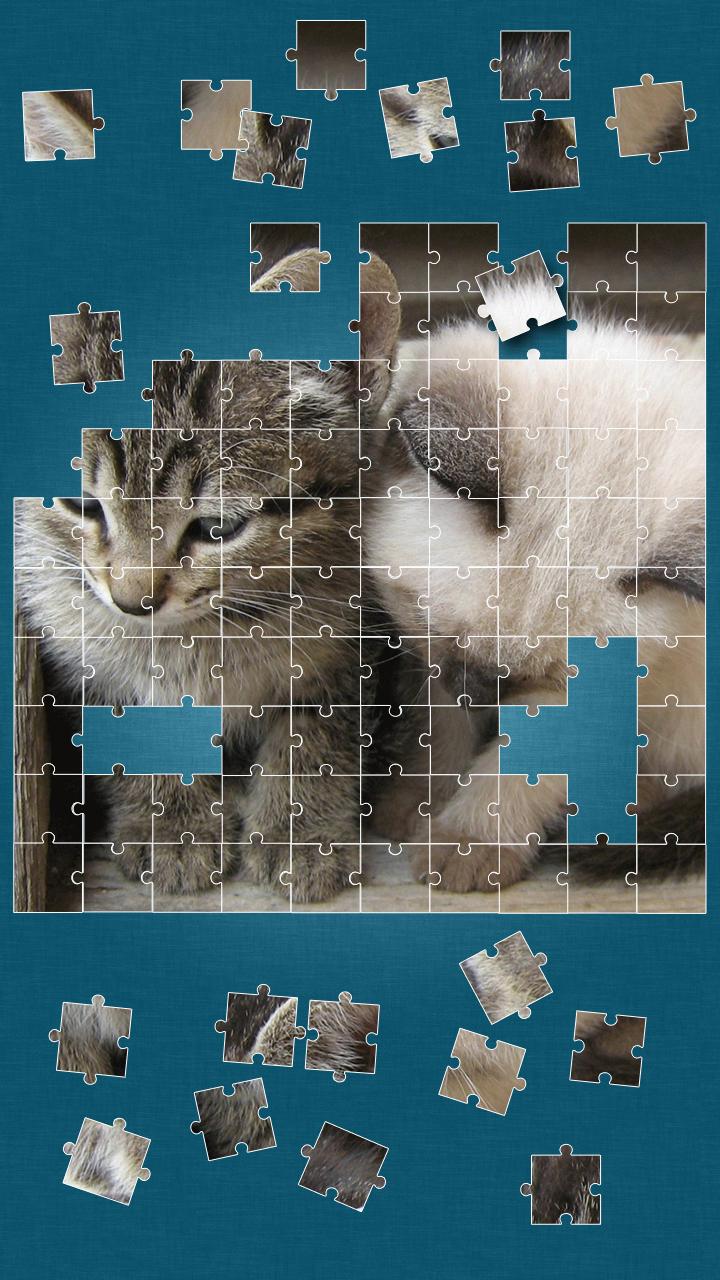 Cute Cats Jigsaw Puzzle