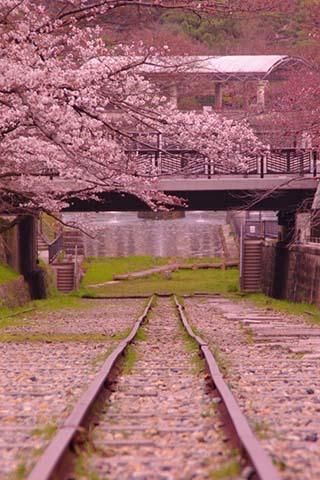 Shinkansen Train Puzzle