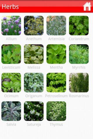 Garden Plants Growing Guide