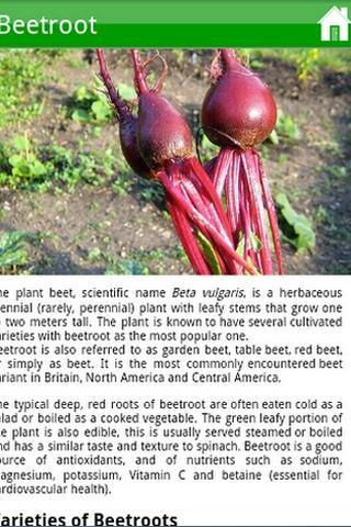 Garden Plants Growing Guide