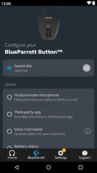 BlueParrott App