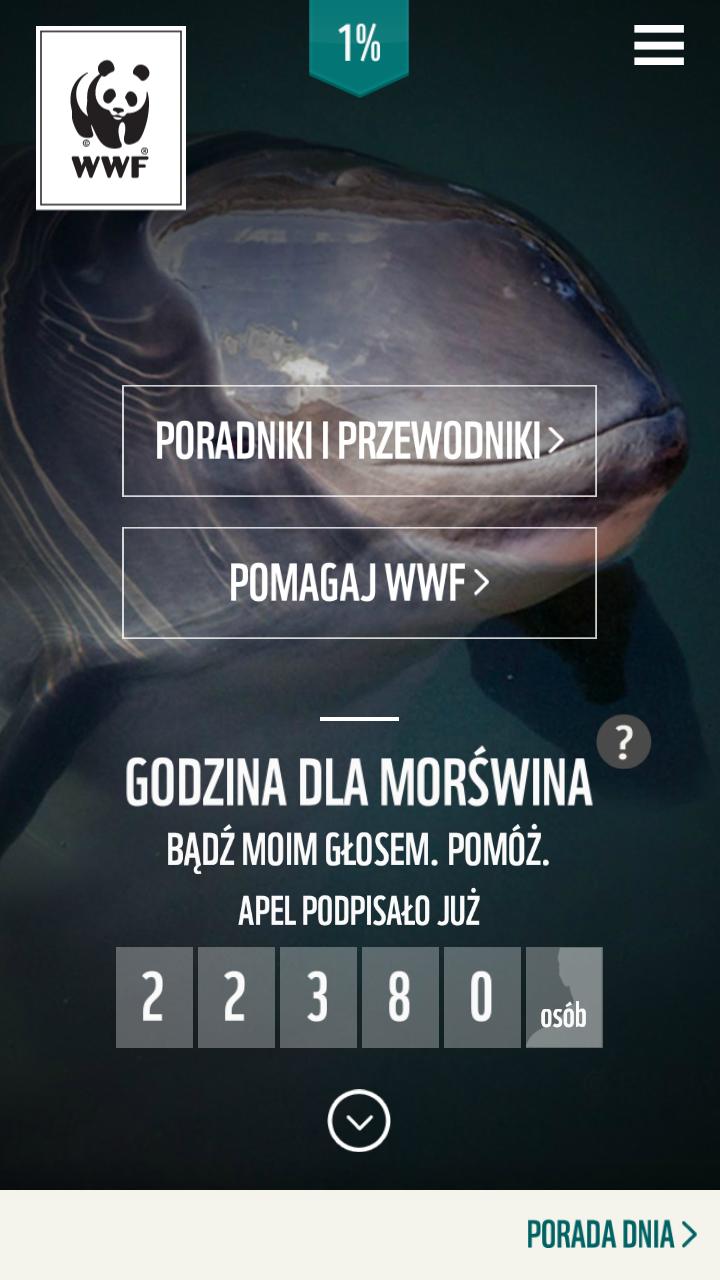 WWF Poradnik