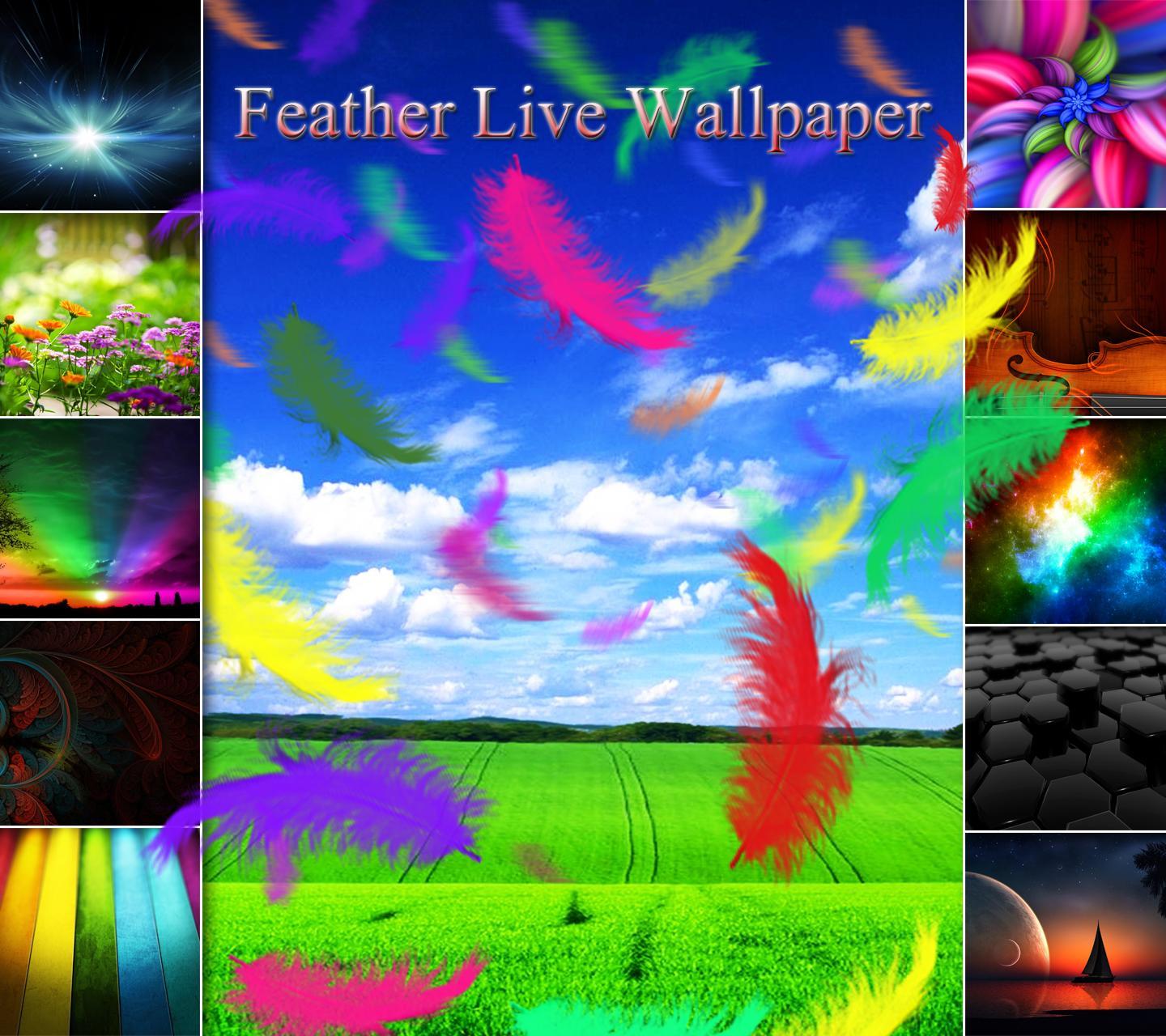 Feather Live Wallpaper