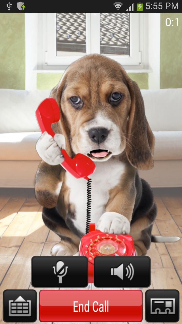 Puppy Call