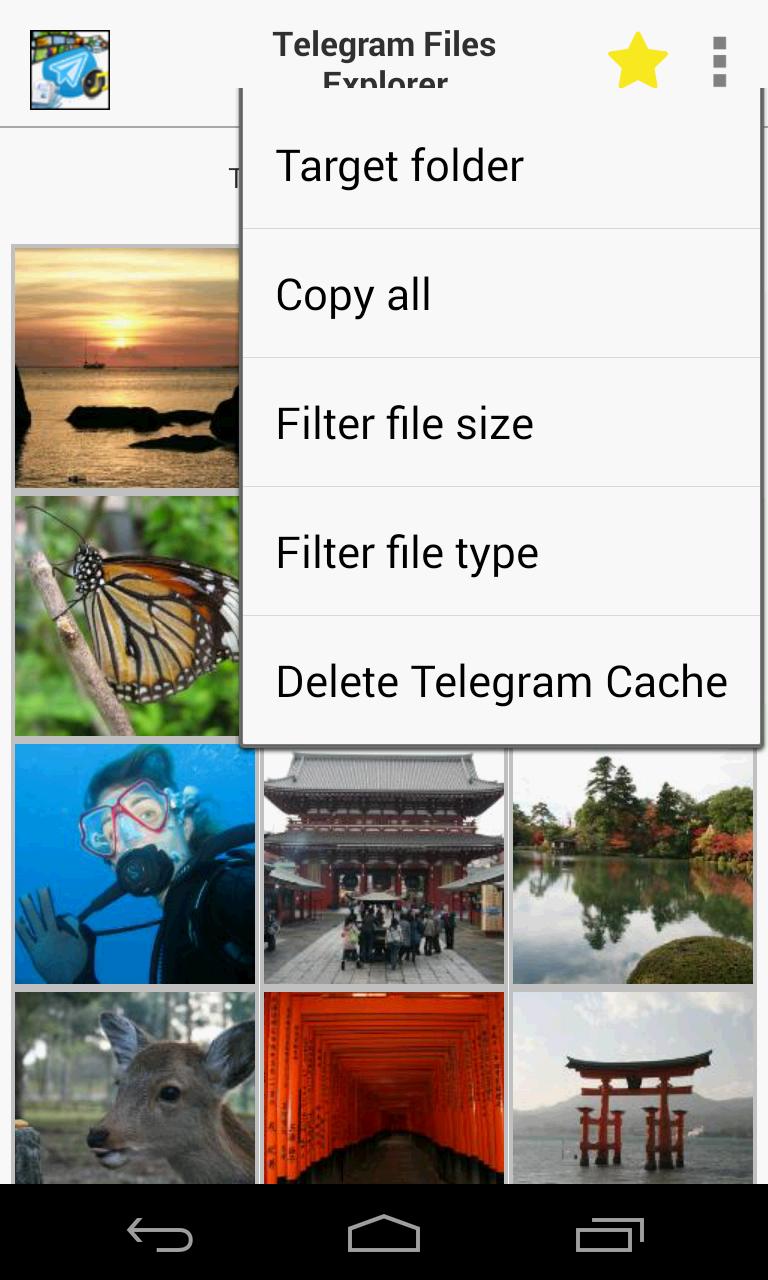 Gallery Explorer for Telegram