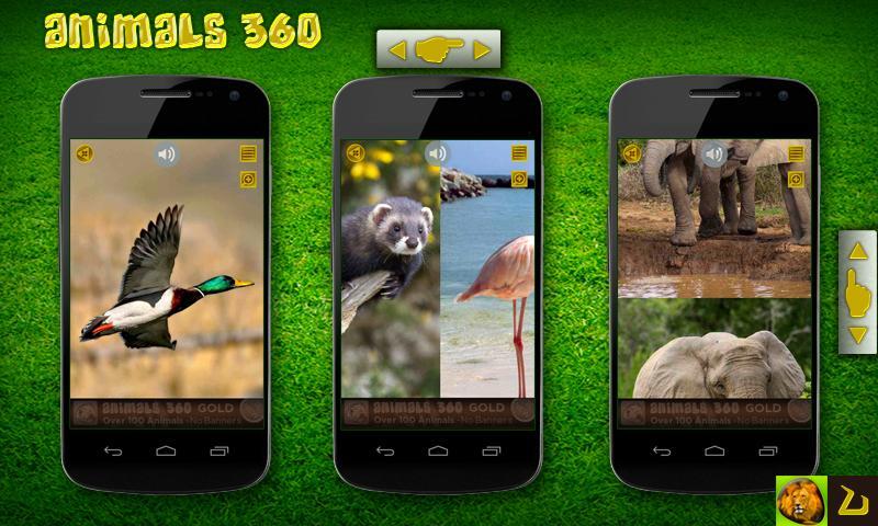 Animals 360