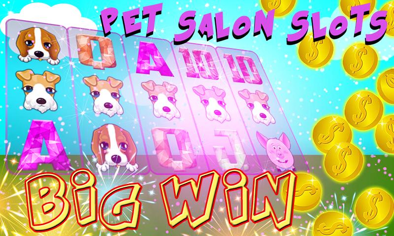 Pet Slots Salon Play Styles