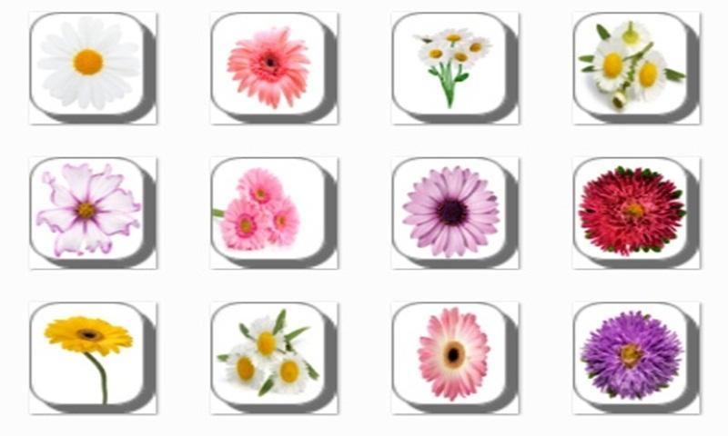 New Daisy Flowers Onet Game