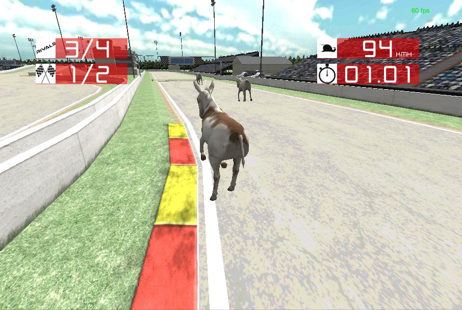 Animal Racing : Donkey