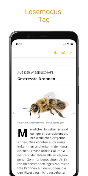 Deutsches Bienen-Journal