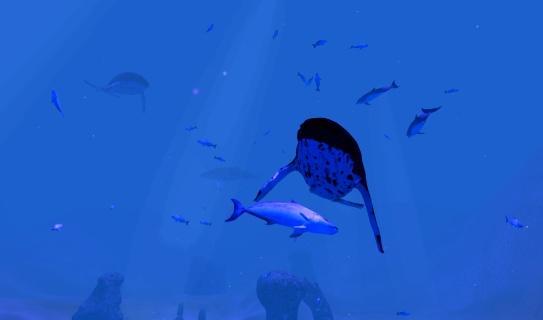 Whale song VR