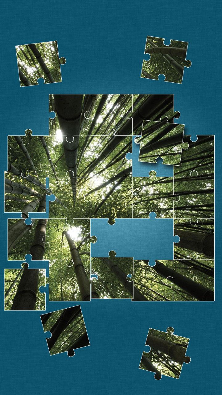 Forest Jigsaw Puzzle