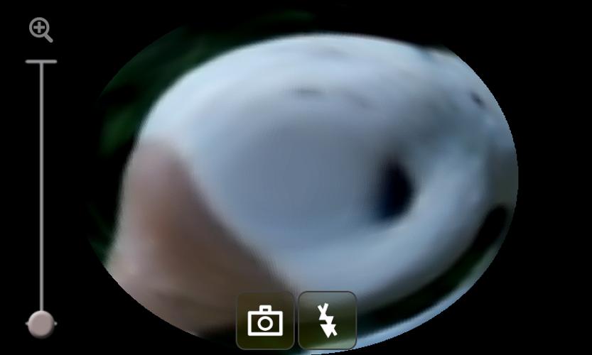 Fisheye Camera Effect II