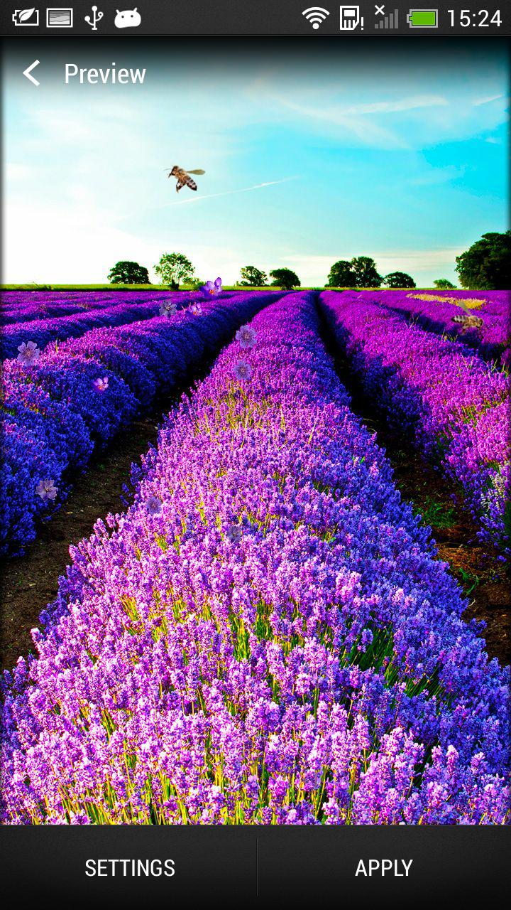 Lavender Live Wallpaper