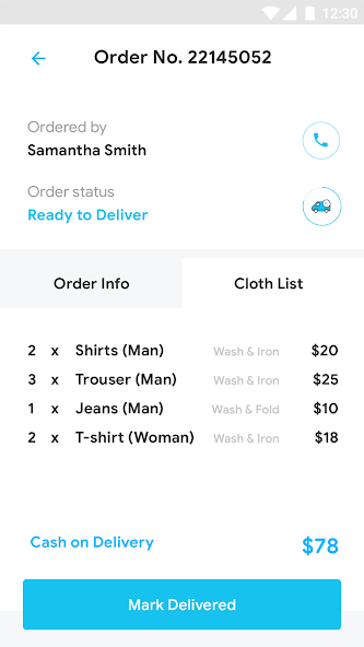 Laundry Delivery Template