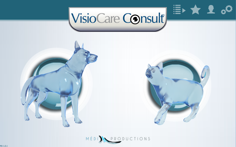 VisioCare Consult