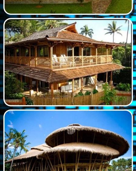 Bamboo House Design