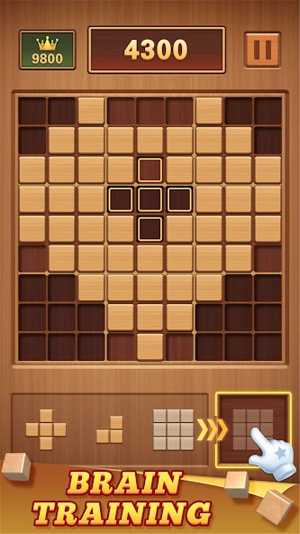 Wood Block 99 - Sudoku Puzzle