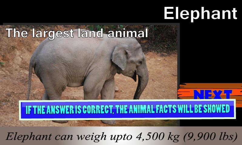 Animal'est
