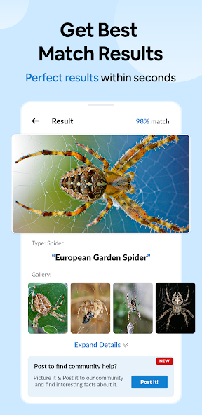 Insect Spider & Bug identifier