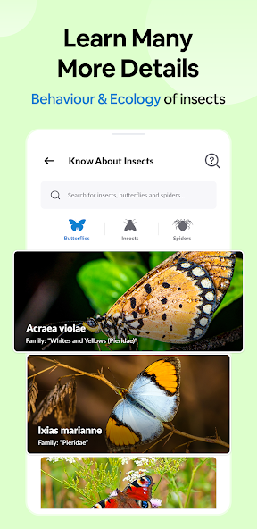 Insect Spider & Bug identifier