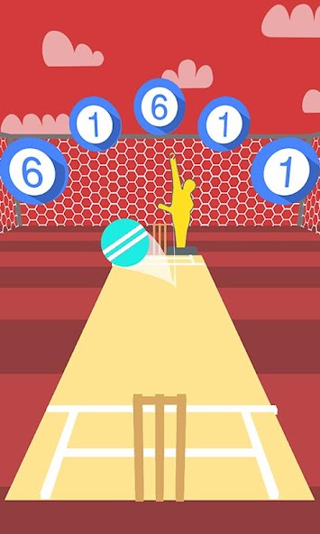 Cricket Practice