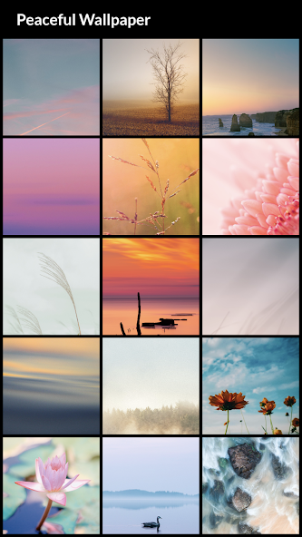Peaceful Wallpapers
