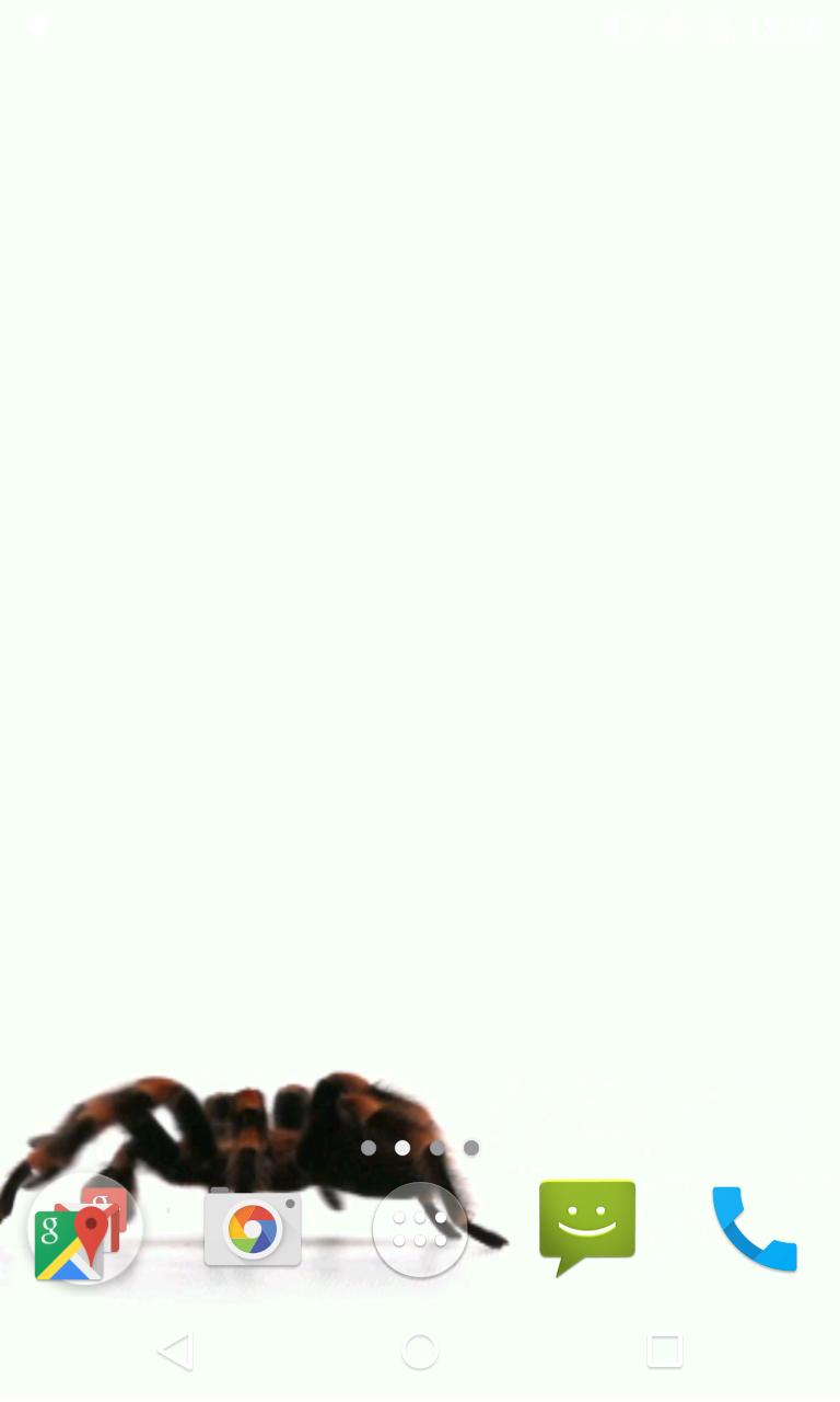 Spider Video Live Wallpaper