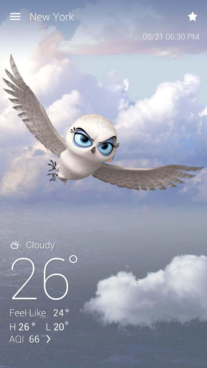 Penguins Of MG Weather Live BG