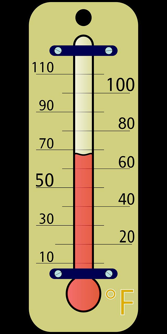 Temperature Sensor