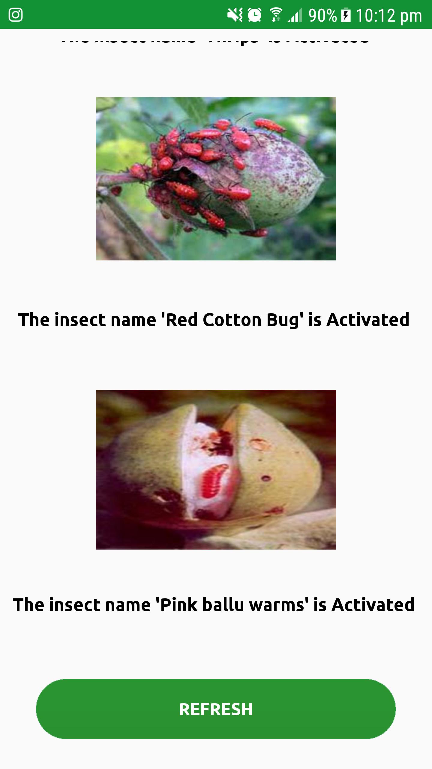 Pest Detection