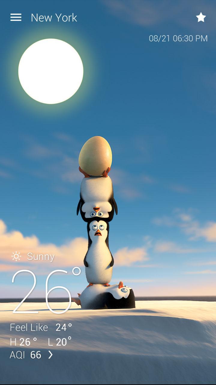 Penguins Of MG Weather Live BG